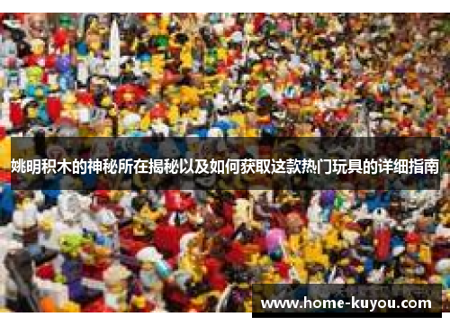 姚明积木的神秘所在揭秘以及如何获取这款热门玩具的详细指南